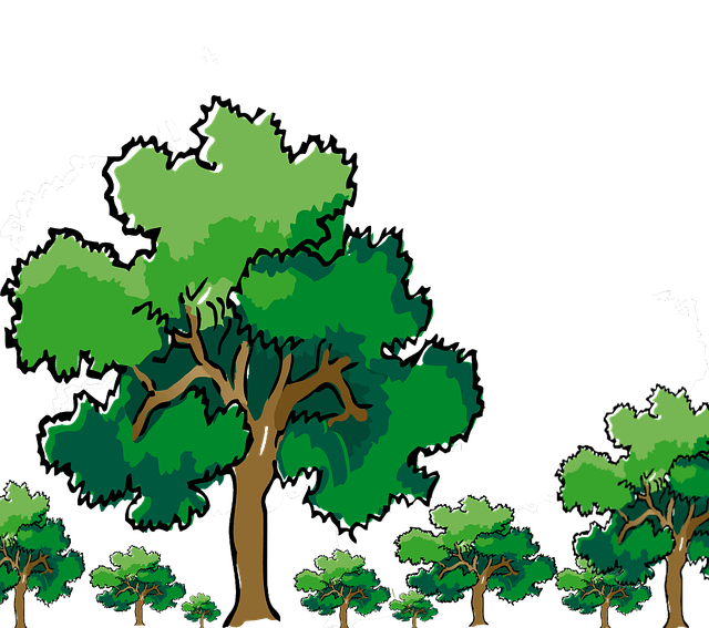 Meşe ağacından şömine için meşe odun fiyatları